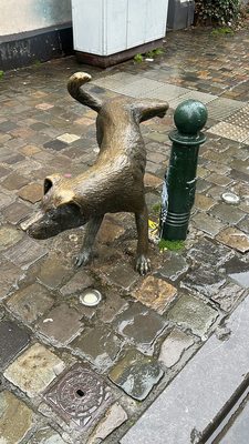 Zinneke Pis by null
