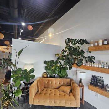 Staiy Salon - Hair Salons Near Me - Omaha, Nebraska