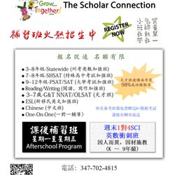 The Scholar Connection - Chinese Marketing