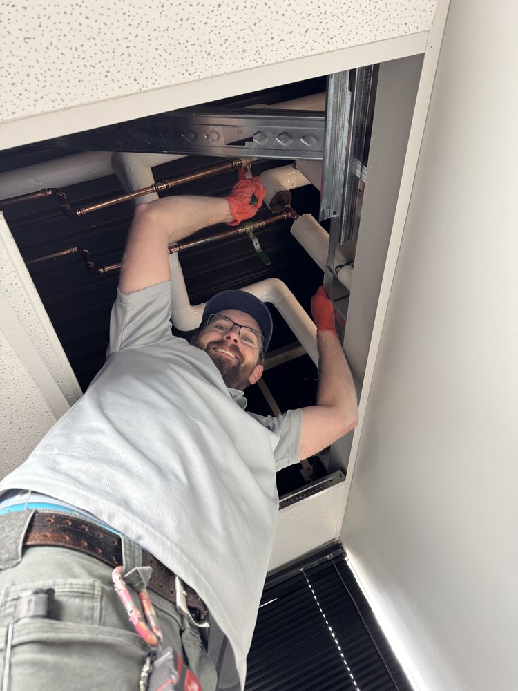 Slide of Rooter Street