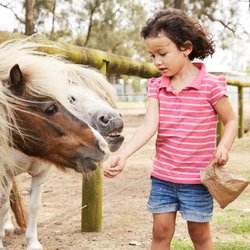 Oakvale Wildlife Park