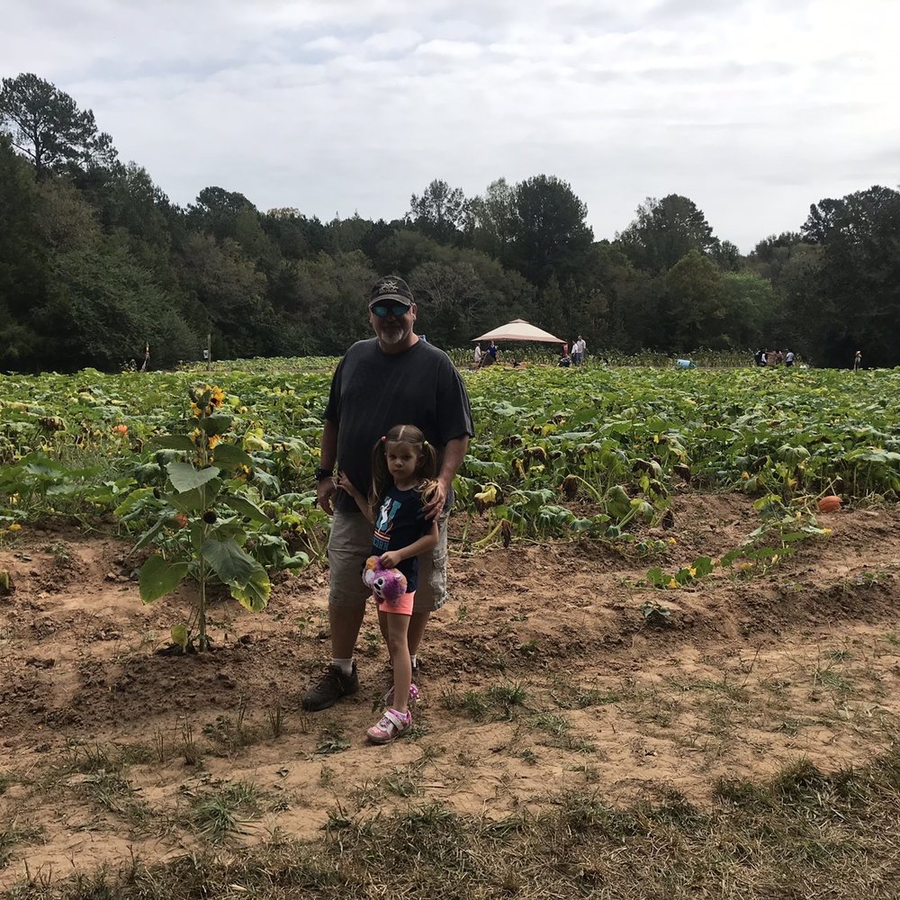Tractor's Corn Maze - 3 different corn mazes - Pumpkin Patches Near Me - Wake Forest, North Carolina Tractor's Corn Maze - 3 different corn mazes - Pumpkin Patches Near Me - Wake Forest, North Carolina