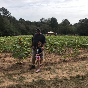 Tractor's Corn Maze - 3 different corn mazes - Pumpkin Patches Near Me - Wake Forest, North Carolina