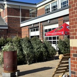 Wheaton Volunteer Rescue Squad - Trees, trees and more trees