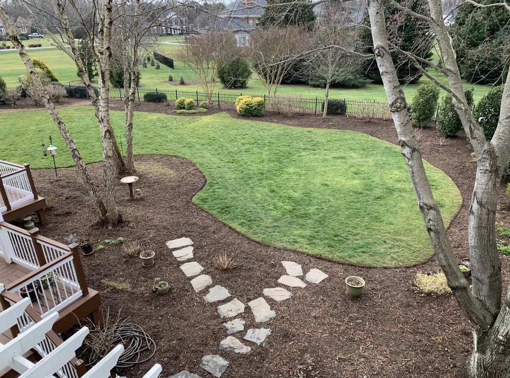 Moxthe Lawn Service - tree service in Charlotte, NC