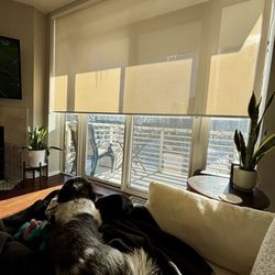 Regent Window Fashions
