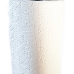 The Lounge Lizard - Paper towel Holder