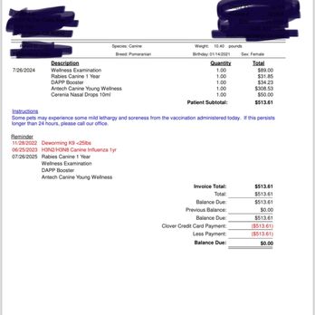 Petsadena Animal Hospital - This might be fair price? I don't know, I felt completely ripped after this bad experience. You guys be the judge. - Veterinarians Near Me - Pasadena, California