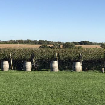 Clovis Point - Beautiful scenery! - Wineries Near Me - Jamesport, New York