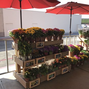 Trader Joe's - Grocery Near Me - Pasadena, California Trader Joe's - Grocery Near Me - Pasadena, California