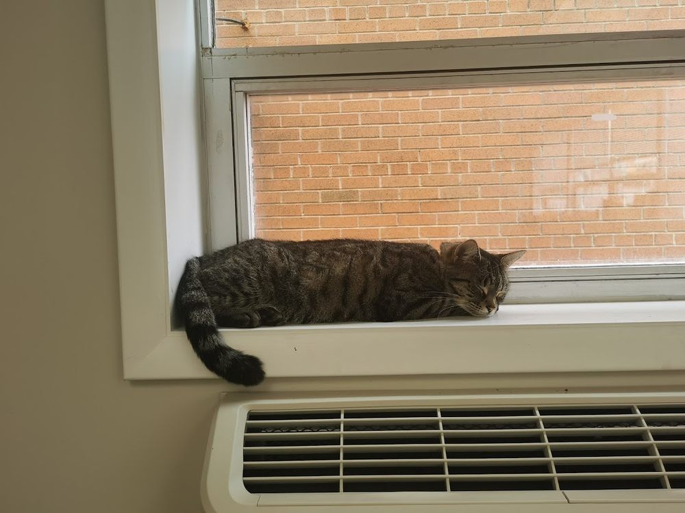 Mosaic Mental Health - grief counselor in Schenectady, NY