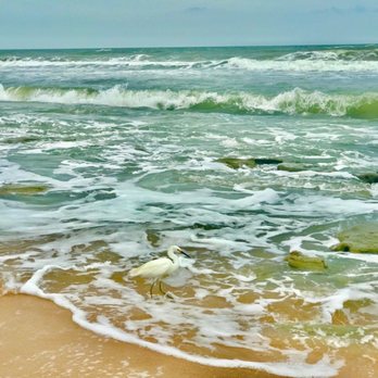Jungle Hut Park Beach - Beaches Near Me - Palm Coast, Florida Jungle Hut Park Beach - Beaches Near Me - Palm Coast, Florida