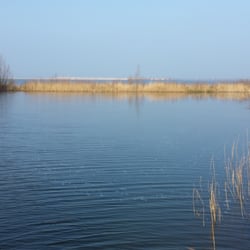 Diemer Vijfhoek
