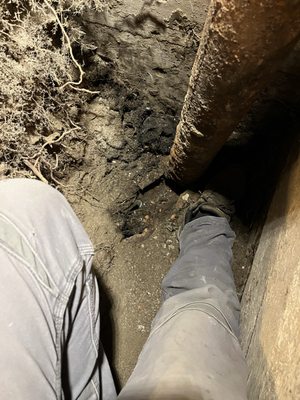 Maine Drain Busters