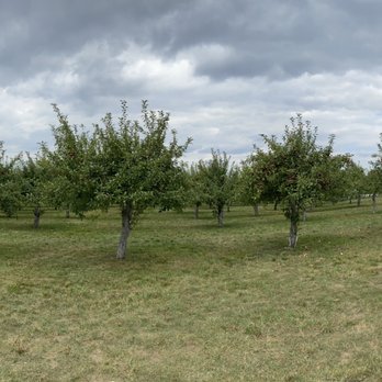 Fern Valley Farms - Venues & Event Spaces Near Me - Wilbraham, Massachusetts Fern Valley Farms - Venues & Event Spaces Near Me - Wilbraham, Massachusetts