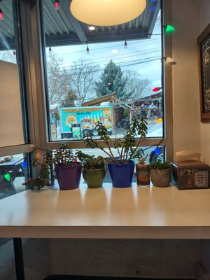 DC Vegetarian by null