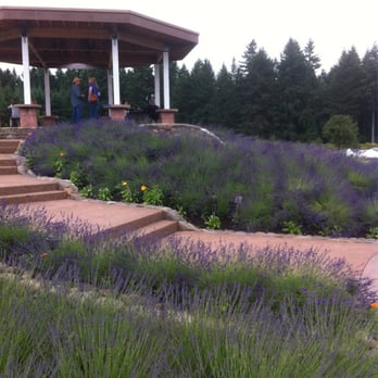 Oregon Lavender Farm - Festivals Near Me - Oregon City, Oregon