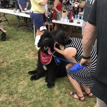 Gumbo Gala - The biggest dog I ever seen ever. - Festivals Near Me - Birmingham, Alabama