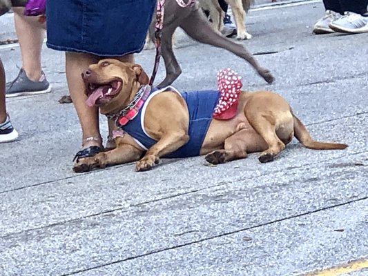 Huizenga Park by null