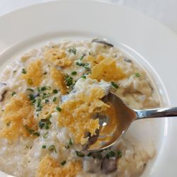 Toronto Metropolitan University - Mushroom isotto