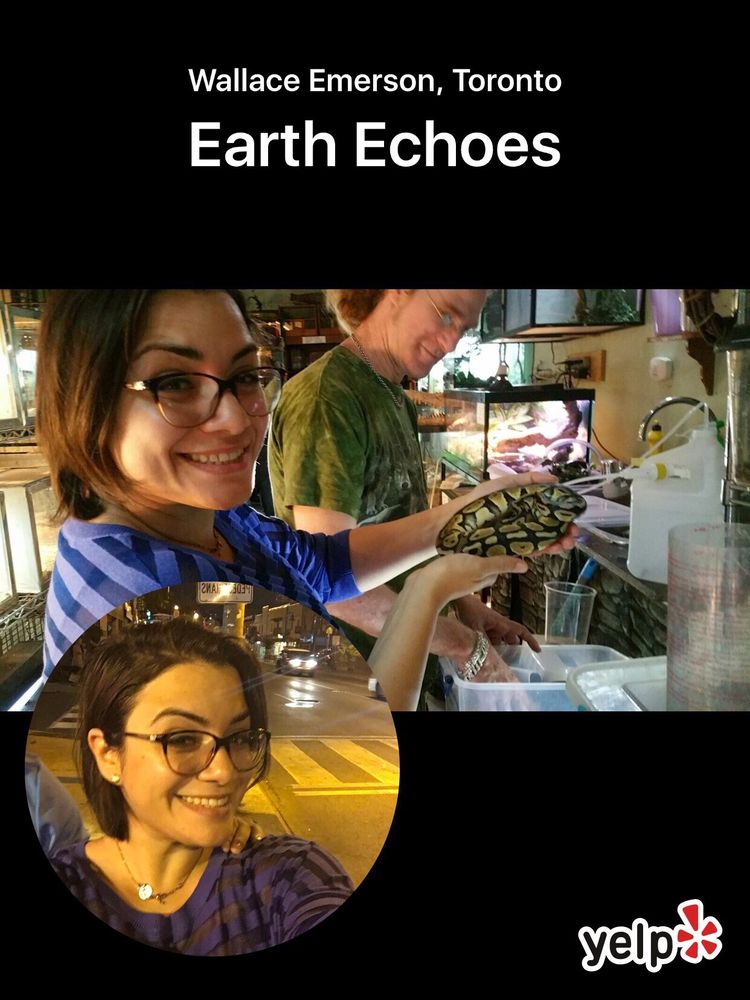 Earth Echoes Image