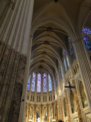 Our Lady of Chartres Cathedral by null