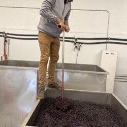 Amos Rome Vineyards - Winemaker Travis doing daily punch downs during Harvest