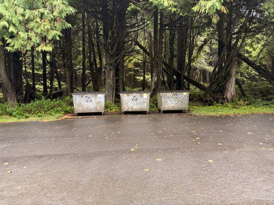 Kalaloch Campground by null