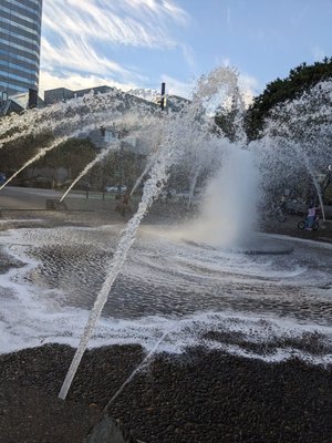 Tom McCall Waterfront Park by null