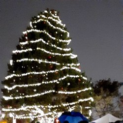 Lomita City Hall - Tree Lighting event 12/2/2022