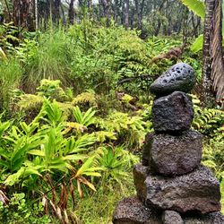 Hale Ho'ola Spa Volcano