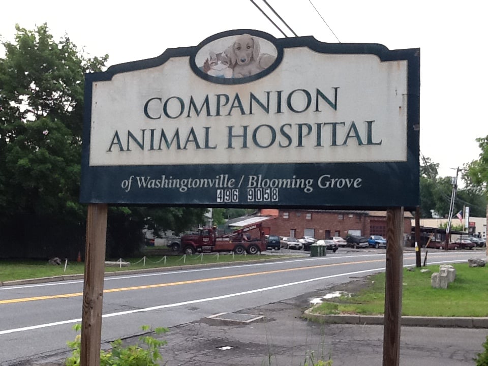 COMPANION ANIMAL HOSPITAL OF WASHINGTONVILLE/BLOOMING GROVE Updated