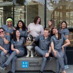 SoMa Animal Hospital