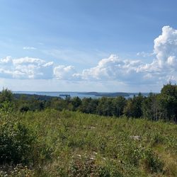 Bluff House Inn - The view from Cabin #6
