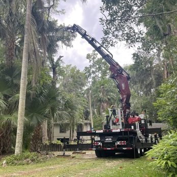 Florida Foliage - Crane Tree Removal - Tree Services Near Me - Daytona Beach, Florida Florida Foliage - Crane Tree Removal - Tree Services Near Me - Daytona Beach, Florida