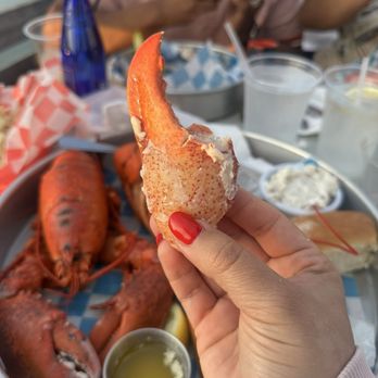The Bait Shed - Seafood Near Me - Scarborough, Maine The Bait Shed - Seafood Near Me - Scarborough, Maine