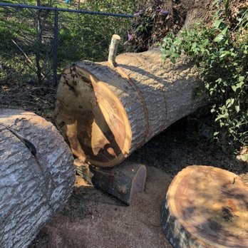 Rivera Tree Service & Landscaping - Tree removal after they fall - Tree Services Near Me Rivera Tree Service & Landscaping - Tree removal after they fall - Tree Services Near Me