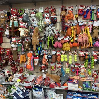 Cani e Gatti - Toys - Pet Stores Near Me - Rome, RM Cani e Gatti - Toys - Pet Stores Near Me - Rome, RM