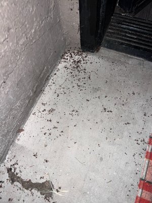 Lido at Shandin Hills by null