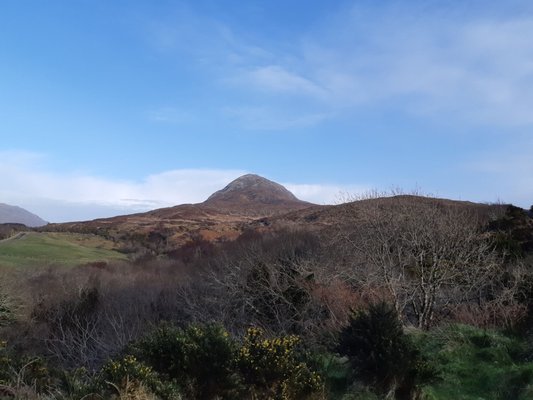 Diamond Hill by null