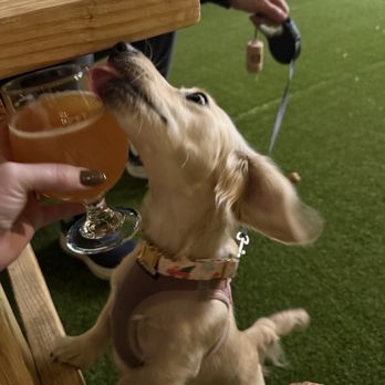 Barebottle Brewing - Walnut Creek - Breweries Near Me - Walnut Creek, California