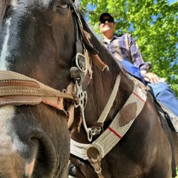 Whispering Woods Riding Stables
