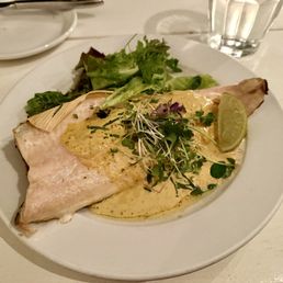 Trout Trout