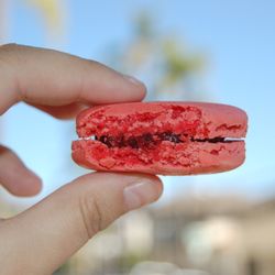 Yummy macarons!