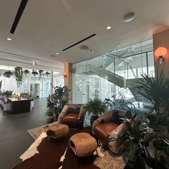 Graduate by Hilton Dallas - Lobby vibes - Hotels Near Me - Dallas, Texas