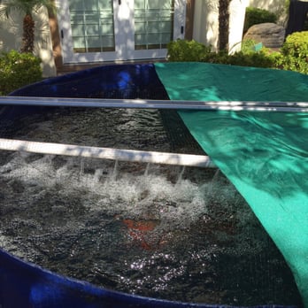 Lake Management - Landscaping Near Me - Orange, California