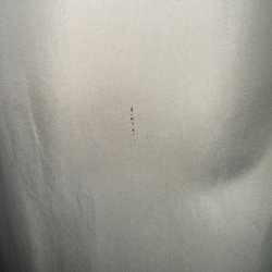 Relais Christine - Bed bug feces