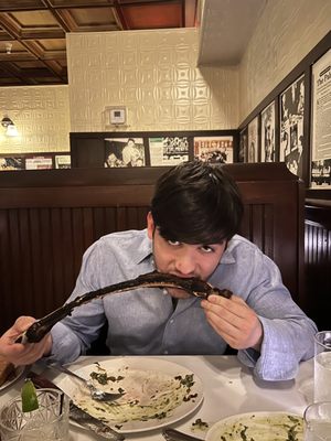 The Palm - Miami by null