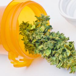 Medical Marijuana Card Doctors of North Phoenix