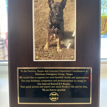 VEG ER for Pets - One of many examples that this place is amazing - Emergency Pet Hospital Near Me - Tampa, Florida VEG ER for Pets - One of many examples that this place is amazing - Emergency Pet Hospital Near Me - Tampa, Florida